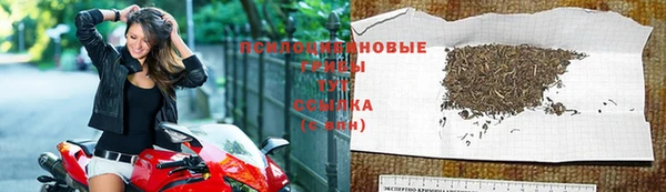 гидропоника Богданович