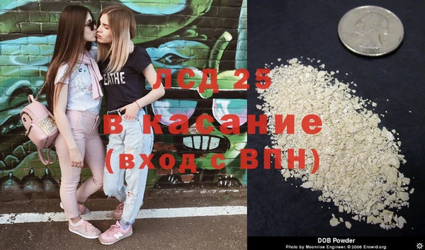 гидропоника Богданович