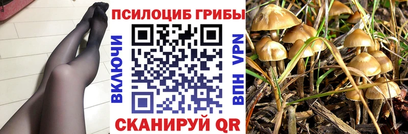 Галлюциногенные грибы Cubensis  Бирюсинск 